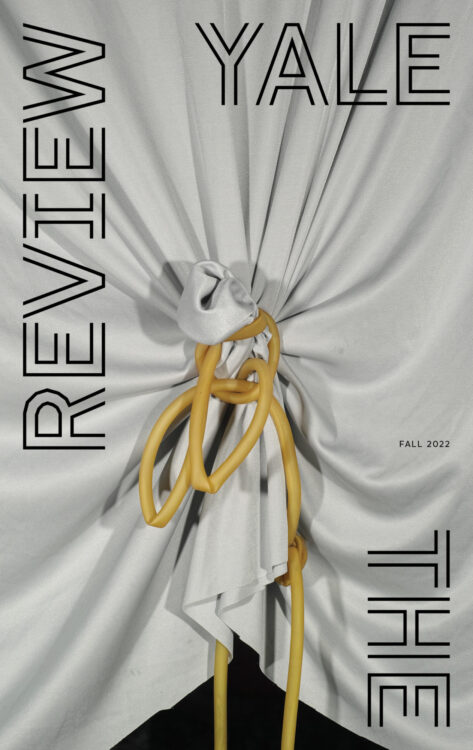 Fall 2022 cover image