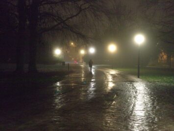 Sigfrid Lundberg / Creative Commons