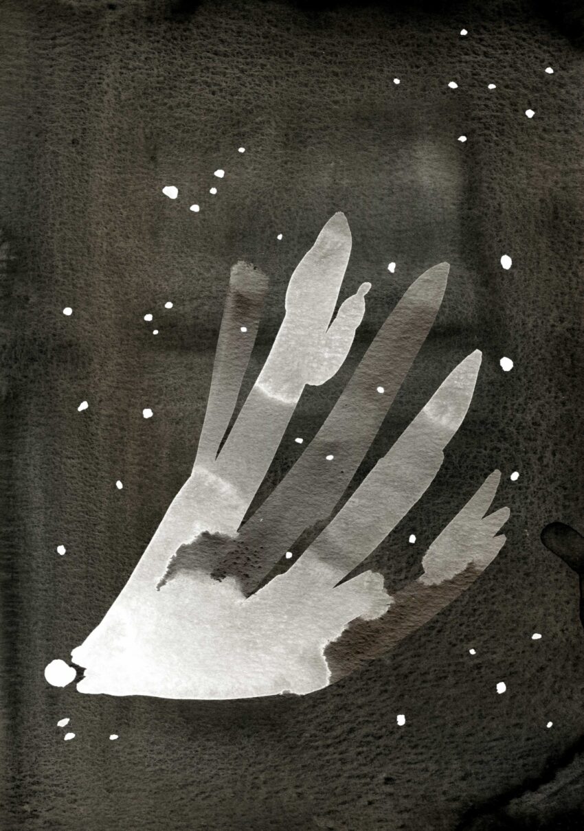 Comet in black and white