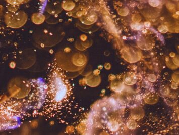 Detail of flames. Joshua Newton