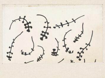 Julie de Graag, Cuckoo flower rosettes, 1887–1924, Rijksmuseum.