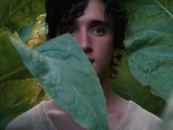 A man stands behind a large plant.