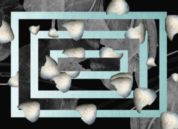 Leaves on a geometric pattern