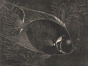 Fish etched in white on black surface. Henri Verstijnen, Chaetodon Fish, ca. 1892–1931. Courtesy Rijksmuseum, Amsterdam.