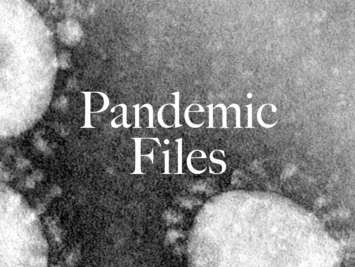 Image of COVID-19 virus. Graphic by Bianca Ibarlucea.