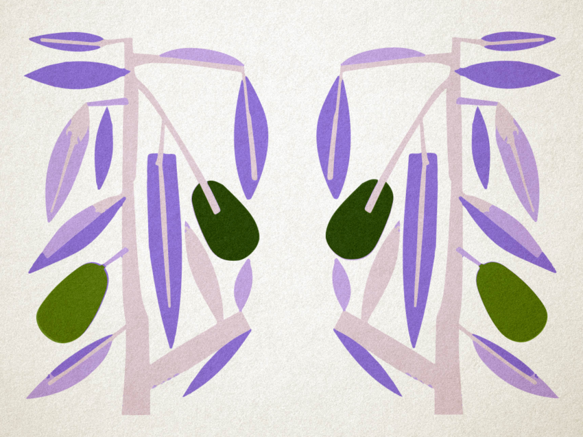 Graphic of a stylized avocado tree