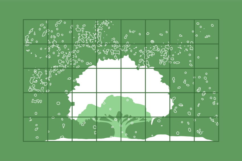 Illustration of a tree in snowy landscape by Laura Padilla Castellanos