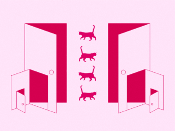 Graphic with a series of doors and four cats